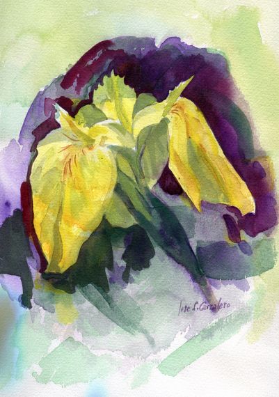 11 Flor de Iris, de José Carralero