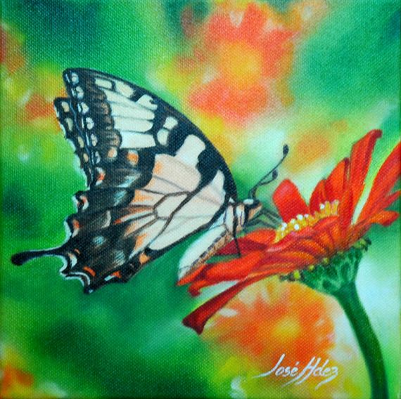 3 Mariposa y flor, de José Rafael Hernández