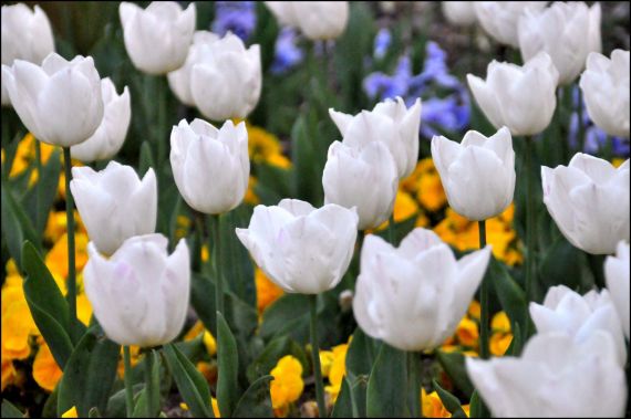 1 Fotografía de José Amador martín