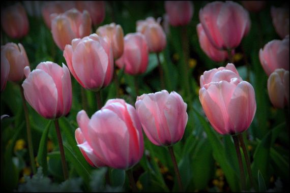 5 Foto de José Amador Martín