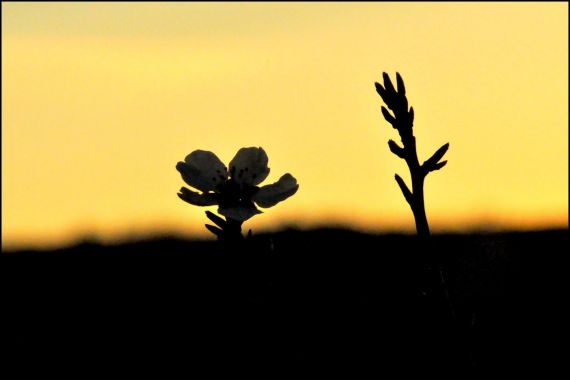 6Foto de José Amador Martín