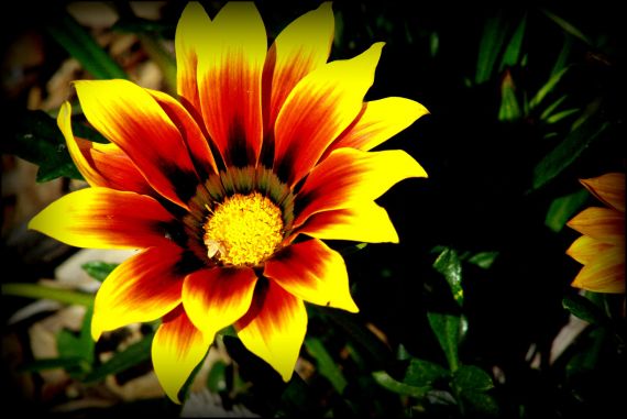 11 Foto de José Amador Martín