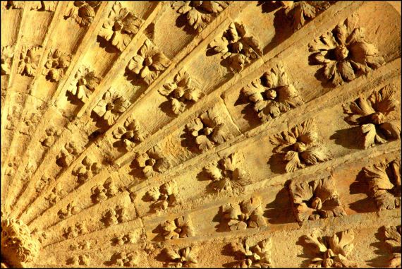 16 Fotografía de José Amador martín