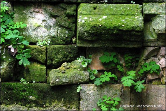 3 Foto de José Amador Martín