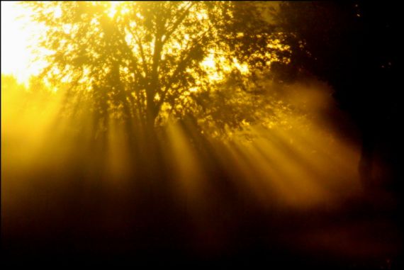 4 Fotografía de José Amador Martín