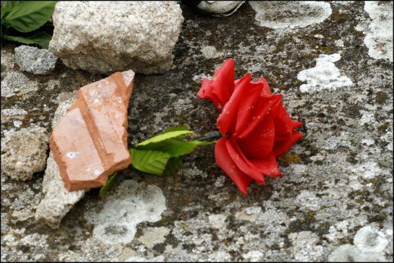 5 Foto de José Amador Martín