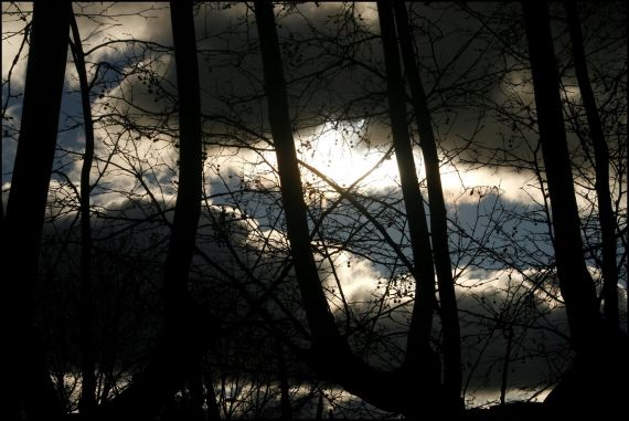 7 Foto de José Amador Martín