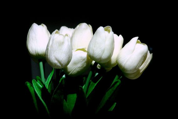 8 Foto de José Amador Martín