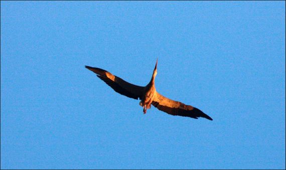 28 Fotografía de José Amador Martín