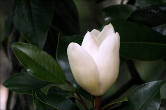 14 Foto de José Amador Martín