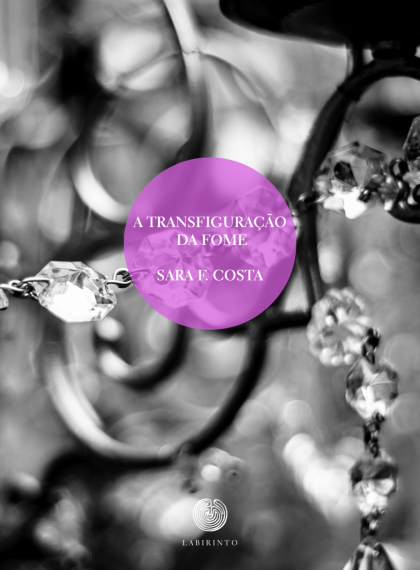 2 Portada del libro publicado por Labirinto