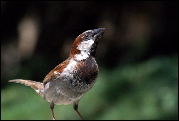 3 Foto de José Amador Martín