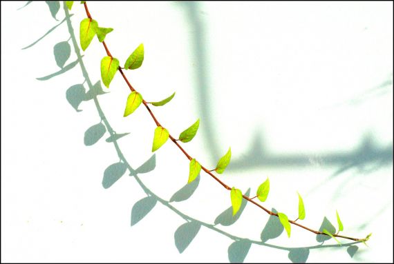 8 Foto de José Amador Martín