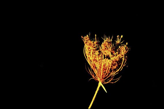 13 Foto de José Amador Martín