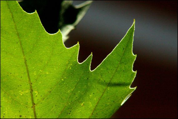 4 Foto de José Amador Martín