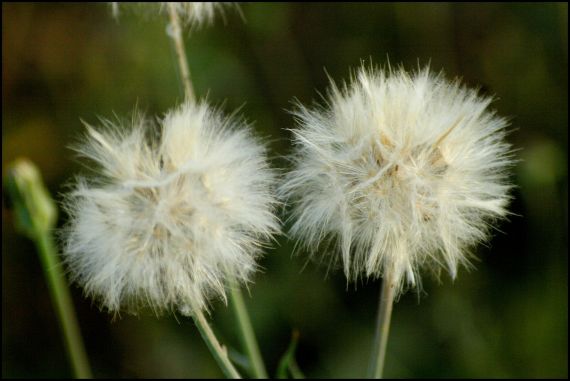 4 Fotografía de José Amador Martín