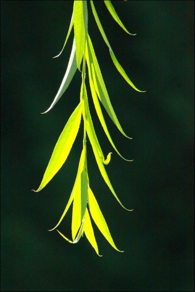 9 Fotografía de José Amador Martín