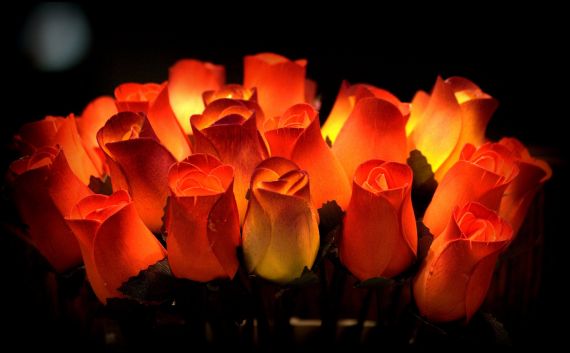 1 Fotografía de José Amador Martín