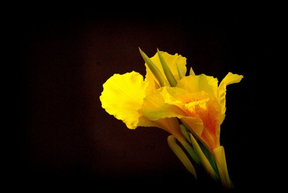 10 Foto de José Amador Martín