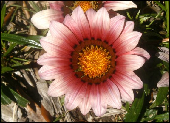 2 Foto de José Amador Martín