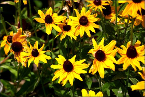 3 Foto de José Amador Martín