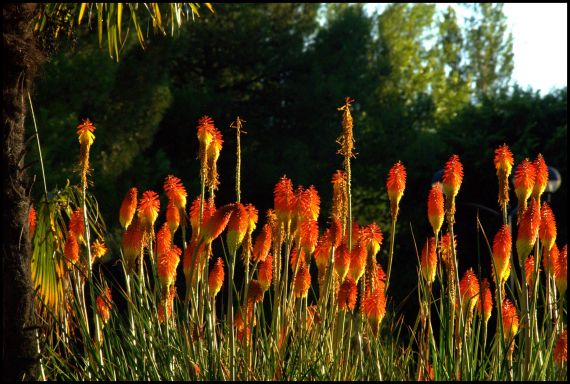 5 Fotografía de José Amador Martín
