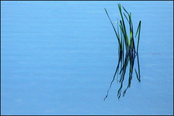 5 Fotografía de José Amador Martín
