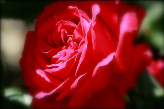 6 Foto de José Amador Martín