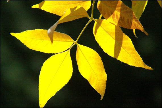 7 Foto de José Amador Martín