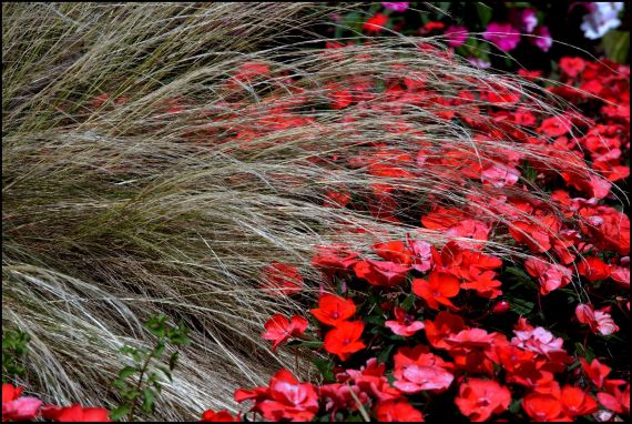 7 Foto de José Amador Martín