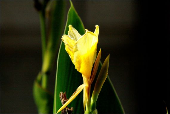 8 Foto de José Amador Martín