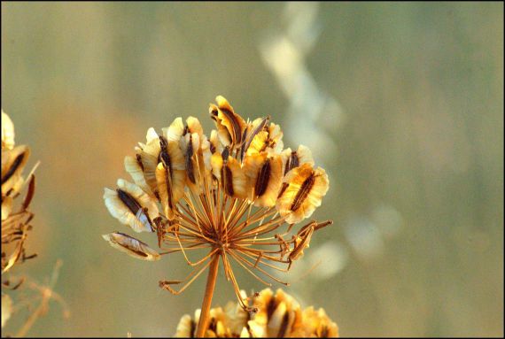 8 Fotografía de José Amador Martín