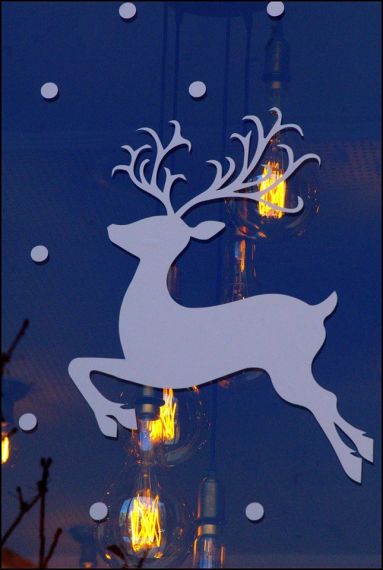 21 Foto de José Amador Martín