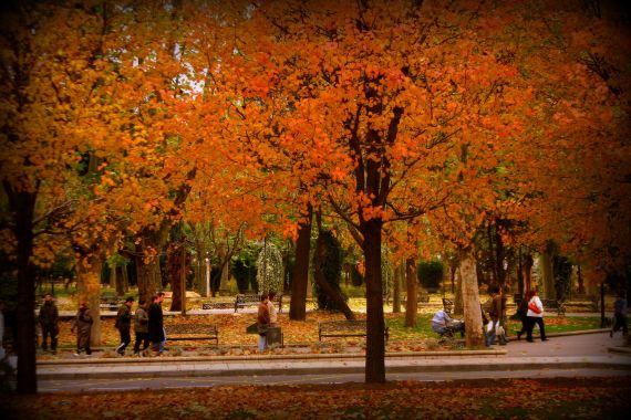 3 Foto de José Amador Martín