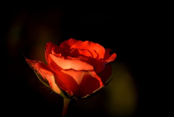 6 Fotografía de José Amador Martín