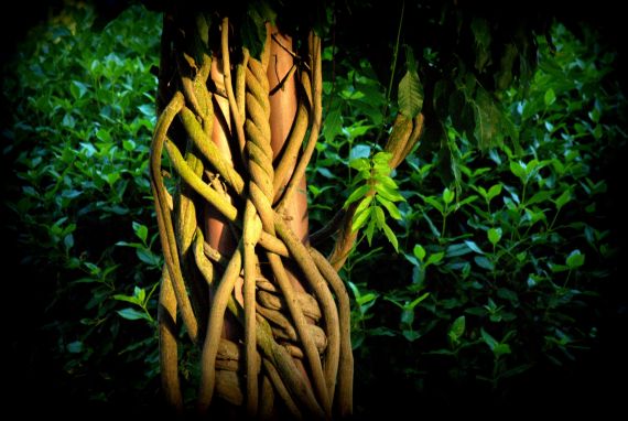 8 Foto de José Amador Martín