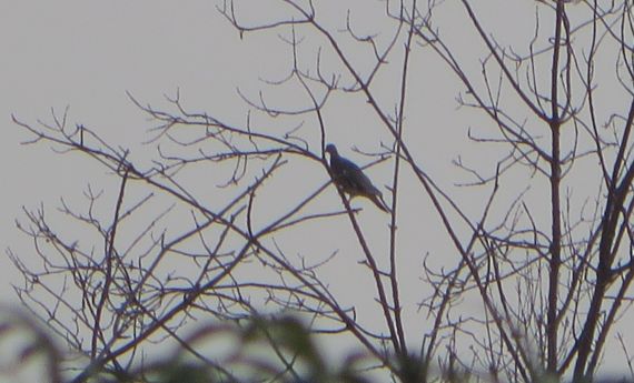 9 Foto de Jacqueline Alencar