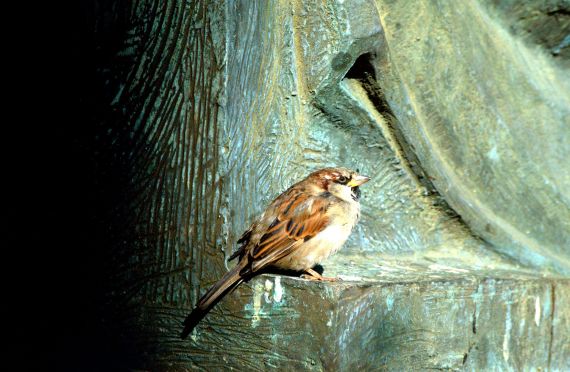 10 Foto de José Amador Martín