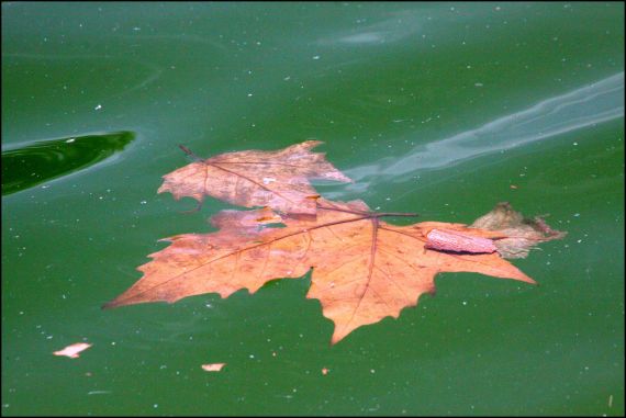 11 Foto de José Amador Martín