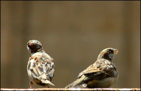 3 Foto de José Amador Martín