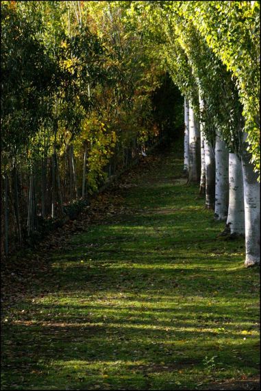 4 Foto de José Amador Martín