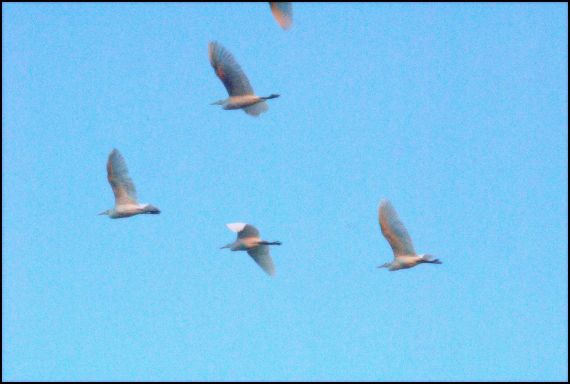 4 Foto de José Amador Martín