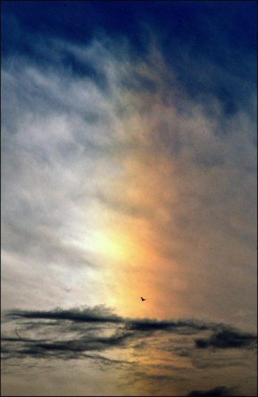 5 Foto de José Amador Martín