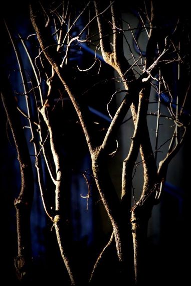 6 Foto de José Amador Martín