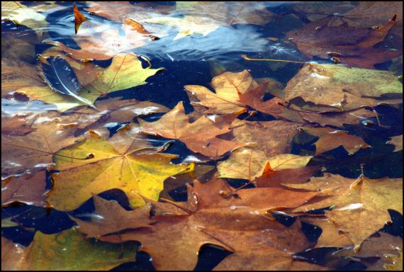 7 Foto de José Amador Martín
