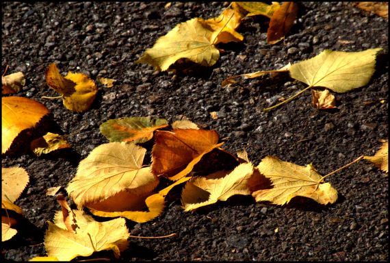 7 Fotografía de José Amador Martín