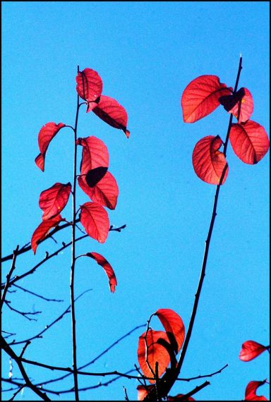 8 Foto de José Amador Martín