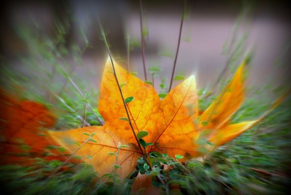 7 Foto de José Amador Martín