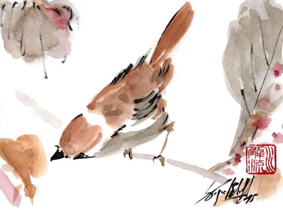 11 Apunte de Miguel Elías