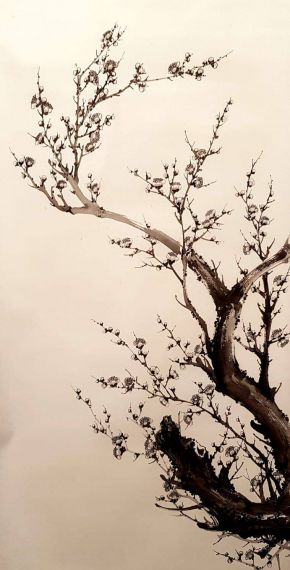 54519932_809362799426102_8502495259786215424_n